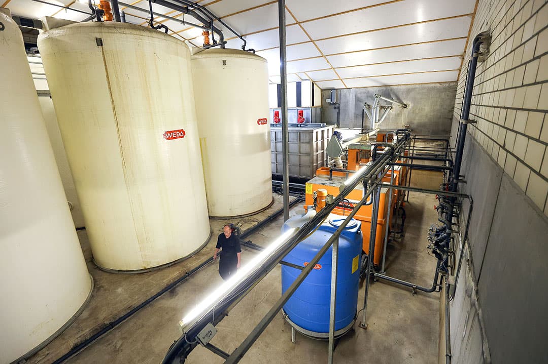 Het verschil met droogvoer staat al enige tijd onder druk, maar bedrijven met bijproducten realiseren gemiddeld nog altijd lagere voerkosten. - Foto: Bert Jansen