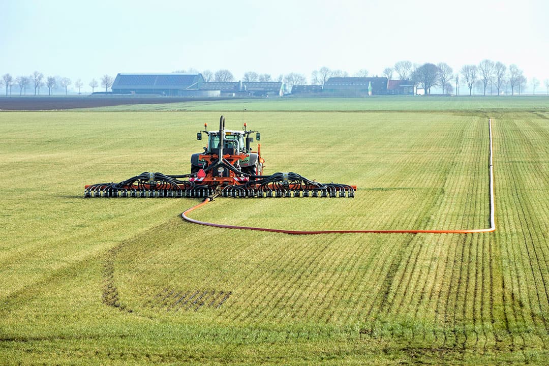 Foto: Koos van der Spek