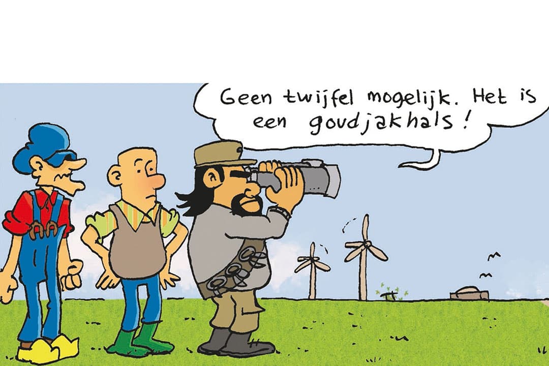 Afbeelding: Herman Roozen