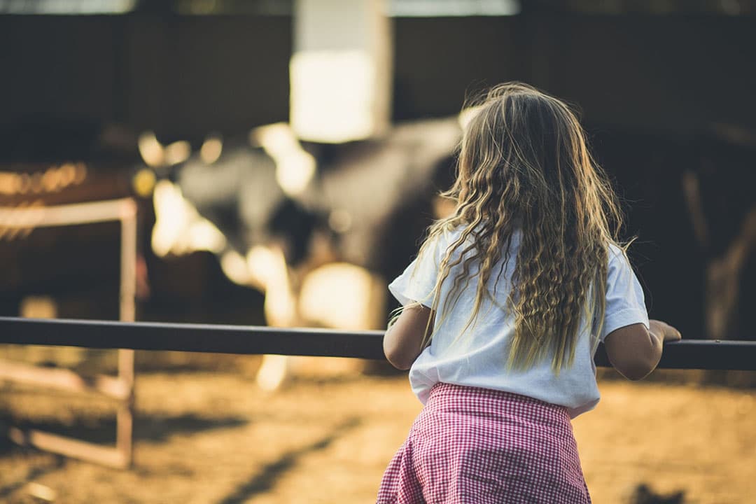 Boerendochters moeten meer kansen krijgen als bedrijfsopvolger, bepleit Margreet Welink. - Foto: Canva