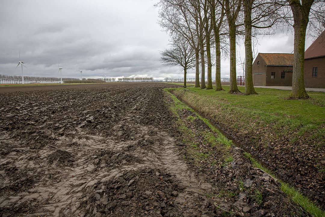 De Proeftuin van Pallandtpolder is gepacht van de gemeente Goeree-Overflakkee. Teelt in stroken van 30 tot 39 meter. - Foto's: Peter Roek