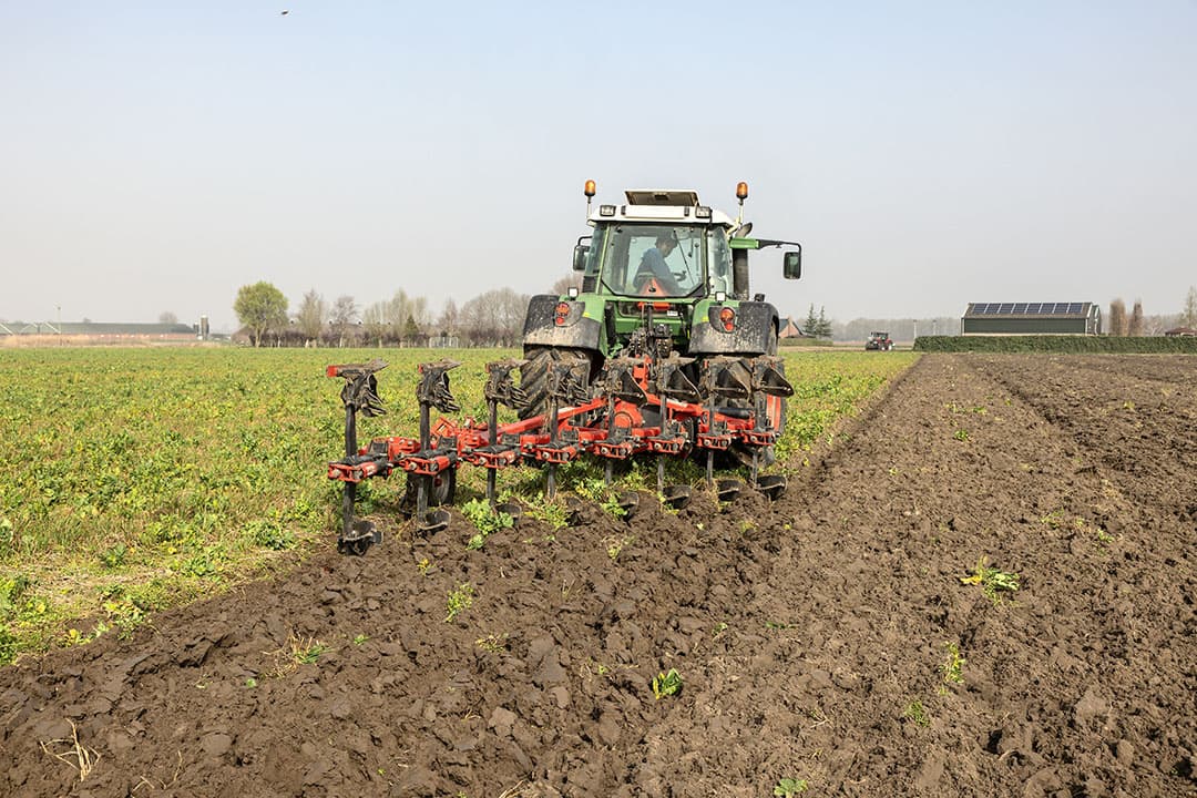 Voor de demo drie verschillende risters aan de ploeg. Het verschil in resultaat is minimaal. De korte risters lijken iets in het voordeel van de lange. Strokenrister voegt weinig toe. - Foto's: Peter Roek