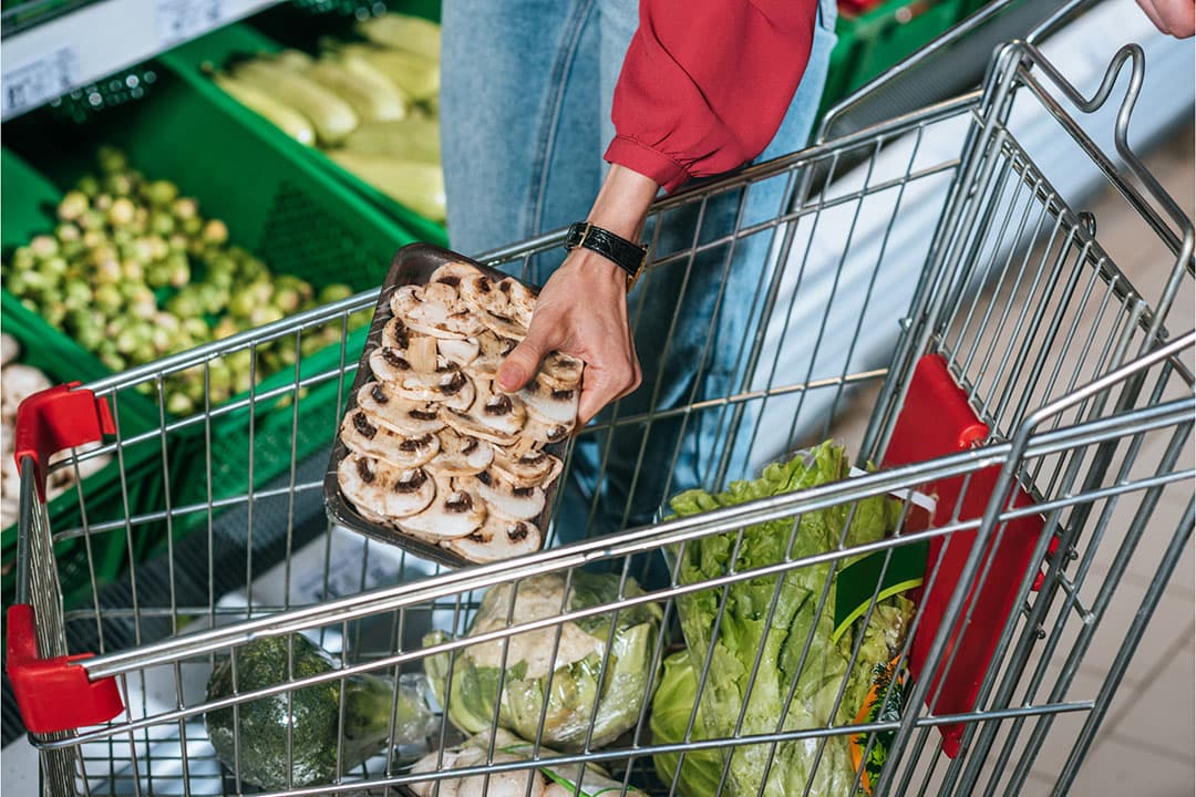 Boodschappen in een winkelwagen. Voedsel is veel goedkoper dan mensen denken, blijkt uit onderzoek van het Centraal Bureau voor Statistiek (CBS). - Foto: Canva/LightFieldStudios