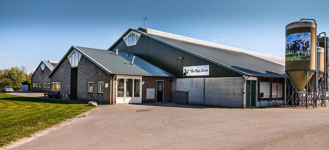 De koeien blijven jaarrond in deze stal en produceren bijna 11.000 kilo melk per jaar. Melken gebeurt met melkrobots.