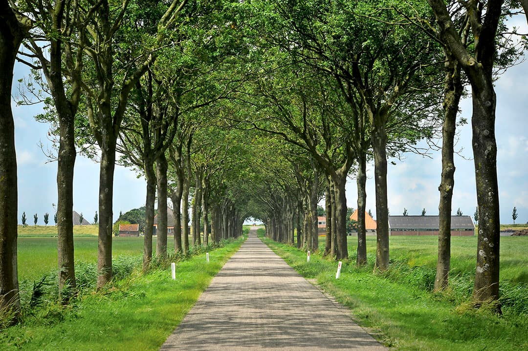 Noord-Holland is vooral de provincie van de vele droogleggingen. Het bekendste voorbeeld hiervan is toch wel de Beemster. - Foto: Fotostudio Wick Natzijl