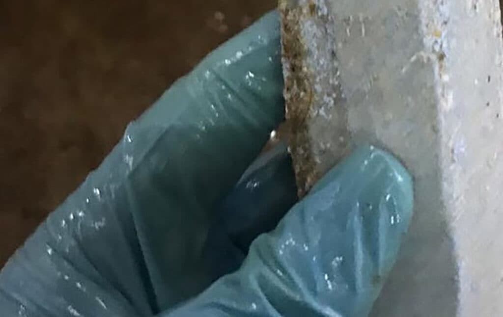 Blauwe teatsealer op het melkfilter. - Foto: Boehringer Ingelheim