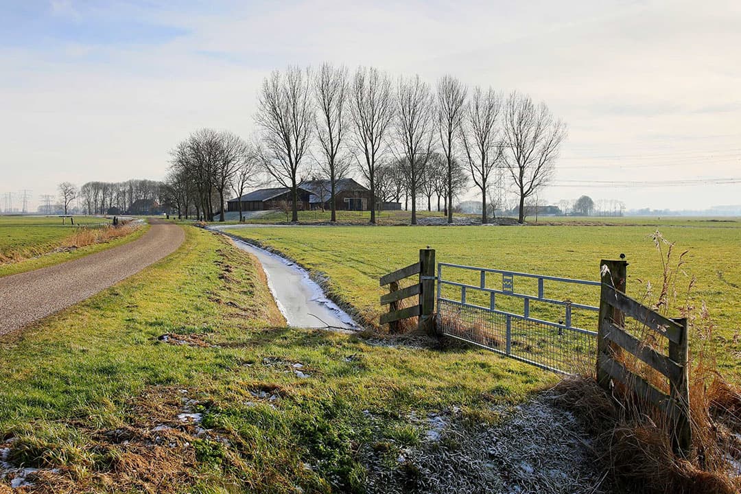 Foto: Ruud Ploeg