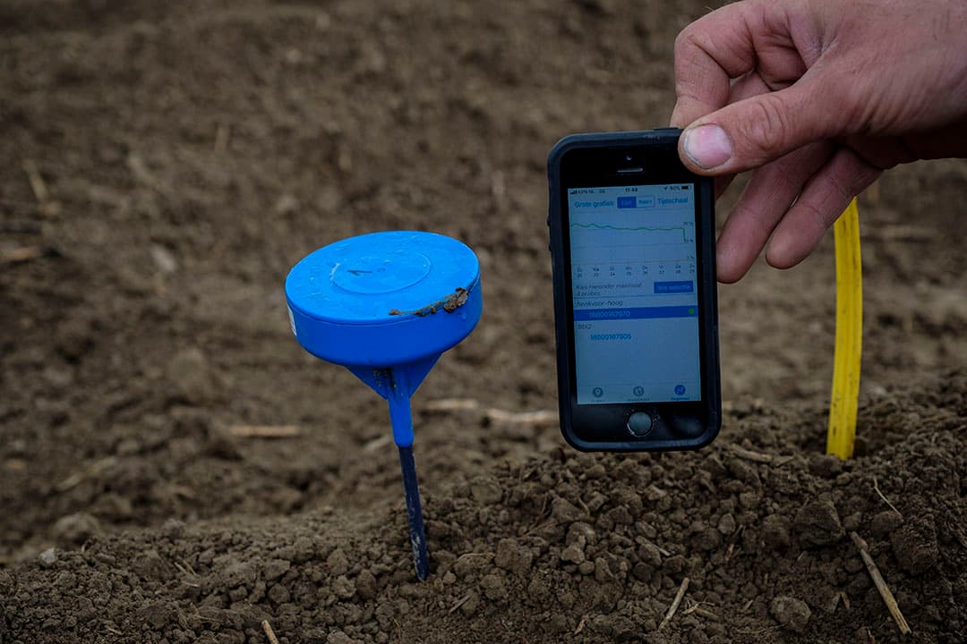 Vochtsensor in rug van een aardappelperceel. De gegevens worden weergegeven in een app. - Foto: Roel Dijkstra
