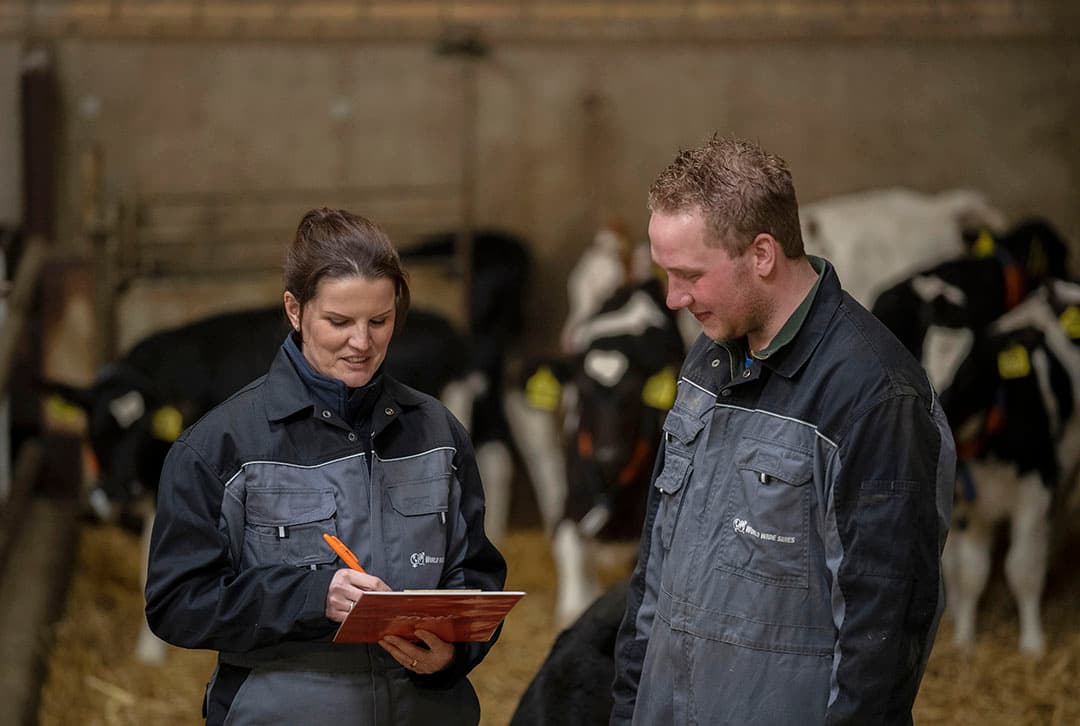 Diewertje van den Dungen van Zoetis kijkt samen met melkveehouder Jacco de Groot in Herwijnen naar zijn fokdoelen. DNA-testen helpen om gericht te selecteren in de veestapel. - Foto: Zoetis
