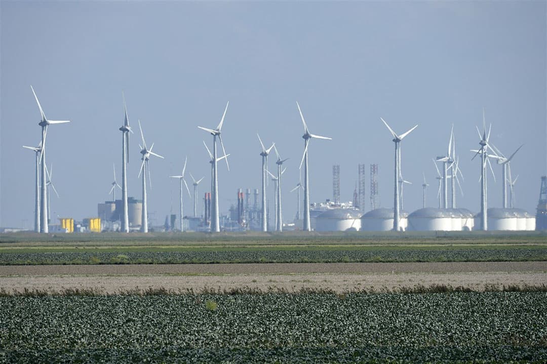 Landbouwpercelen bij de Eemshaven. - Foto: ANP