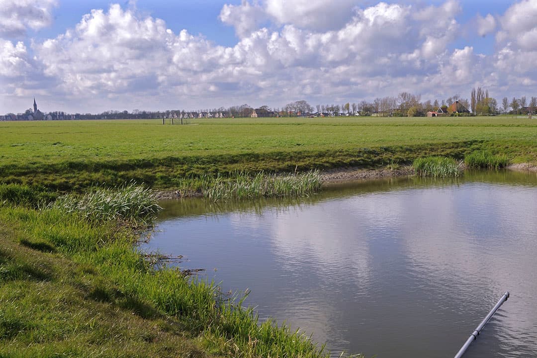 Grasland in Middenbeemster (N.-H.). - Foto: Fotopersbureau Dijkstra