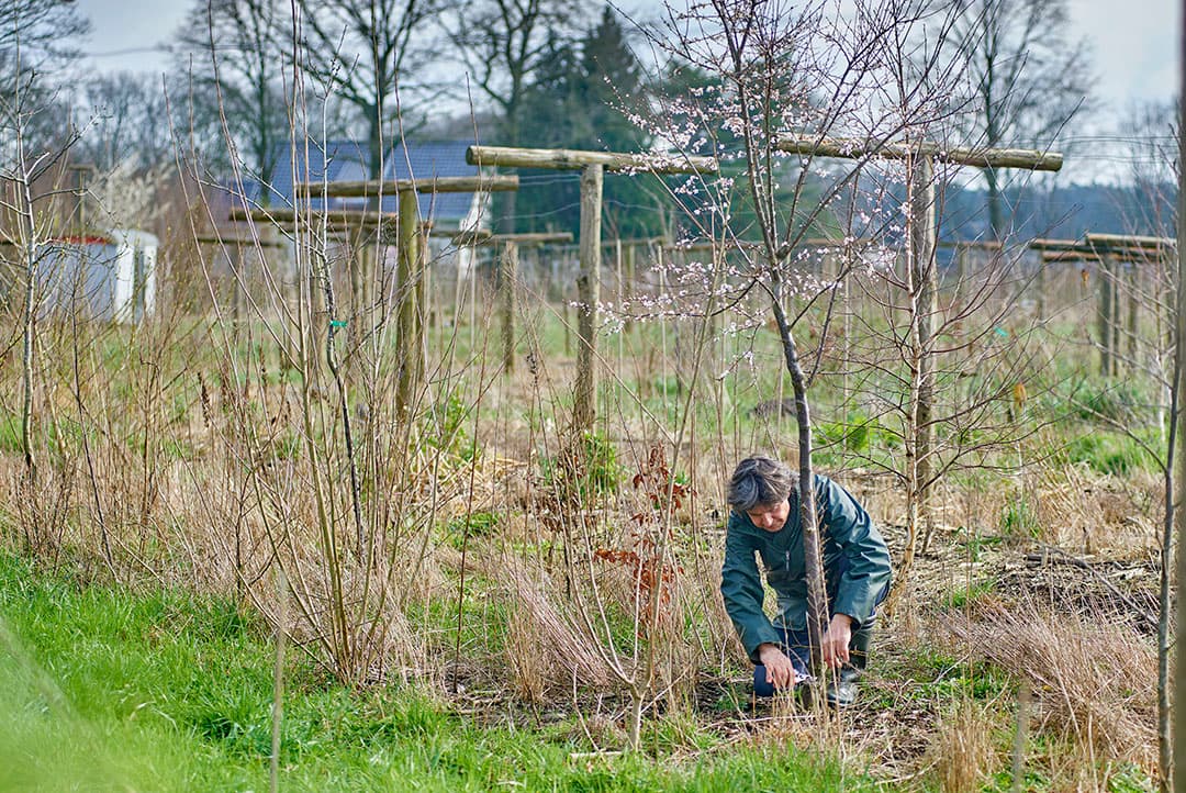 Foto: Van Assendelft Fotografie