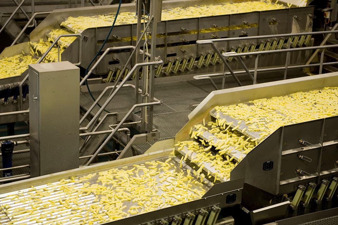 Productie van frites. - Foto: Aviko