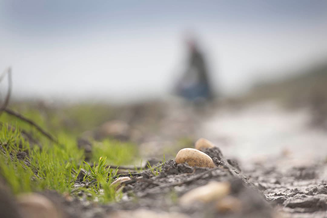 Foto: Mark Pasveer