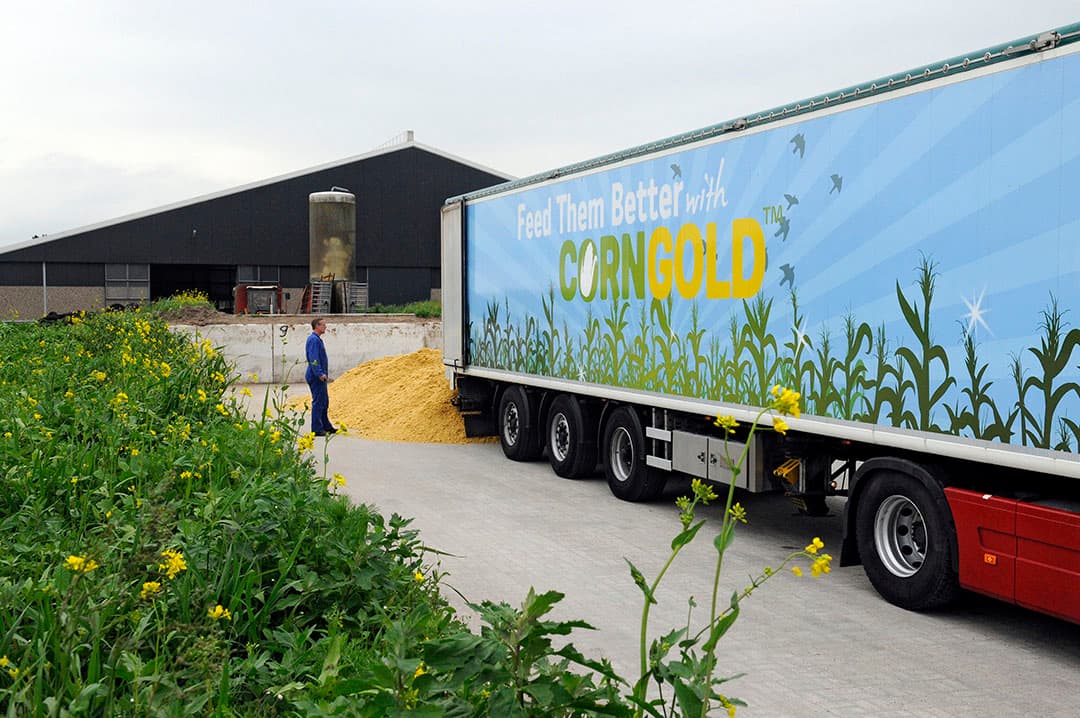 Lossen van corngold op archiefbeeld. Foto: Marten Sandburg Fotografie
