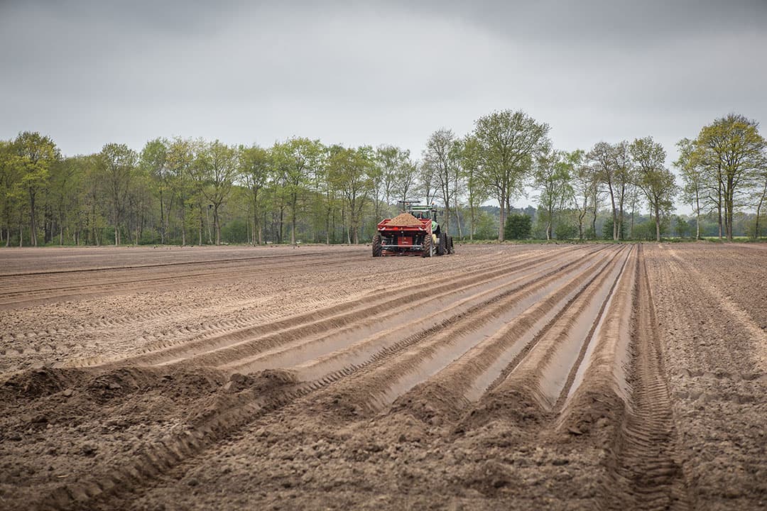 Foto: Peter Roek