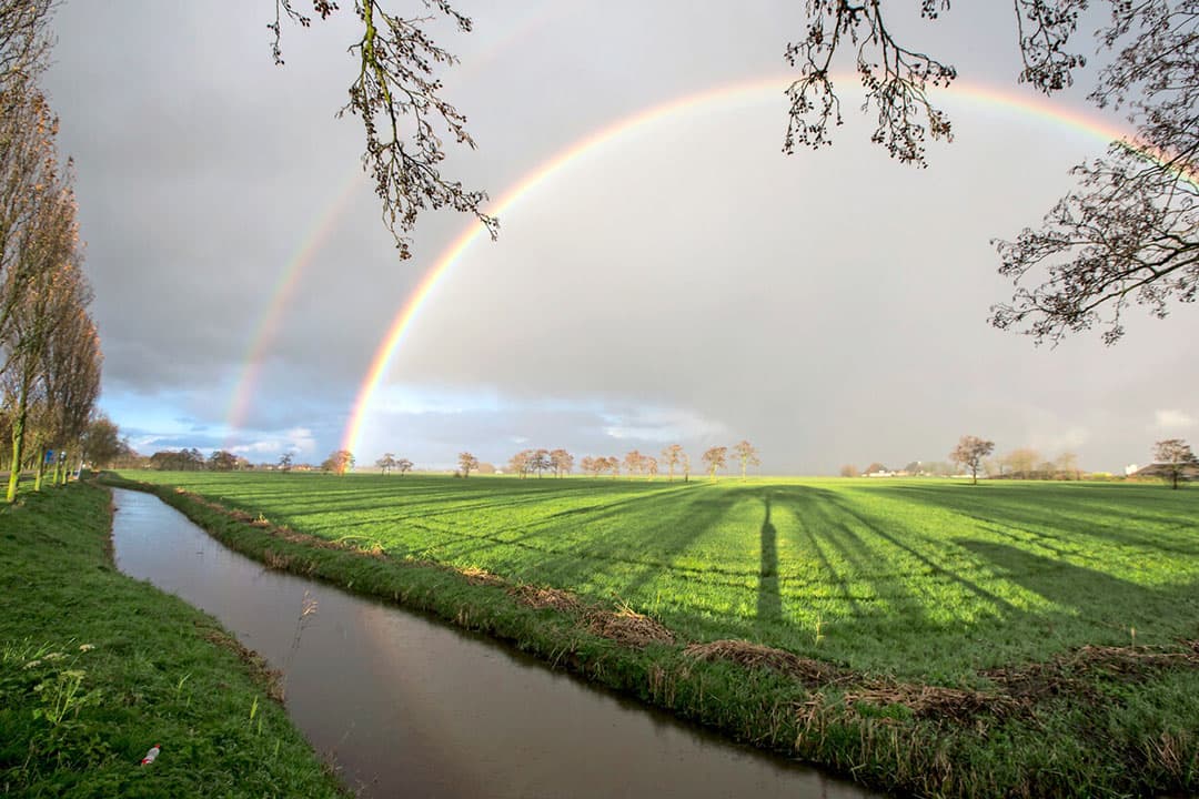 Veenweidegebied in Friesland. - Foto: Anne van der Woude