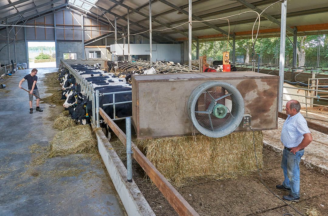 Voorkomen van hittestress in de melkveestal. - Foto: Van Assendelft Fotografie