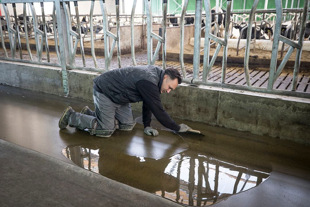 Foto: Koos Groenewold