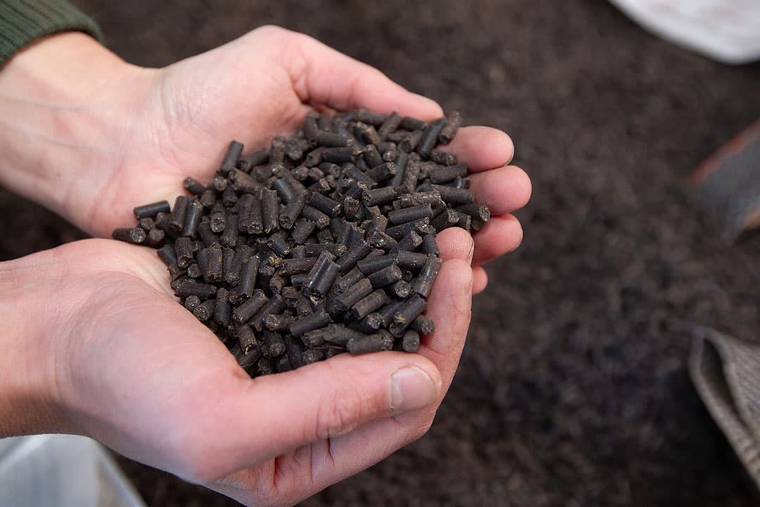Een groter aandeel varkensmest verwerken tot hoogwaardige eindproducten is volgens Rabobank nodig om de betaalbare mestafzet te garanderen. - Foto: Henk Riswick