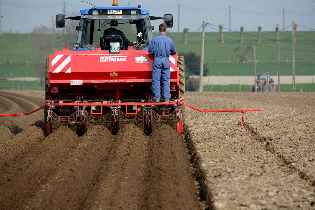 Aanaarden van aardappelen met gitterrollen. De aardappelruggen verruigen met gitterrollen helpt om regenwater sneller en beter in de grond te laten infiltreren. - Foto: Henk Riswick