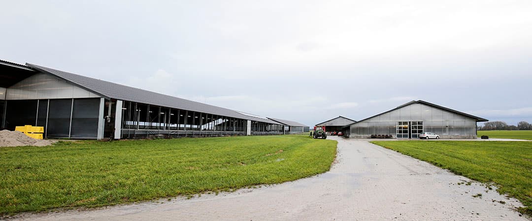 De omwisseling van ledenobligaties naar certificaten is eenmalig. Daarna moet alle verdere groei worden bijgekocht. - Foto: Jan Willem van Vliet