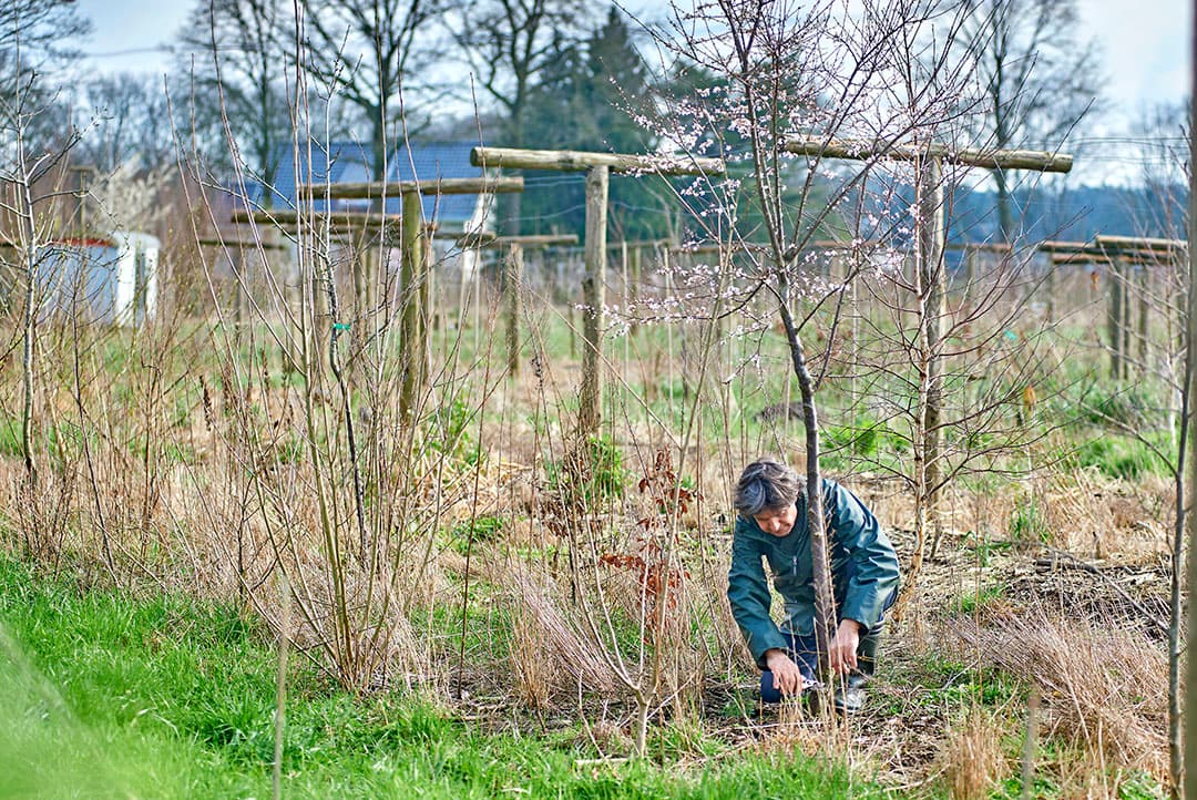 Foto: Van Assendelft Fotografie
