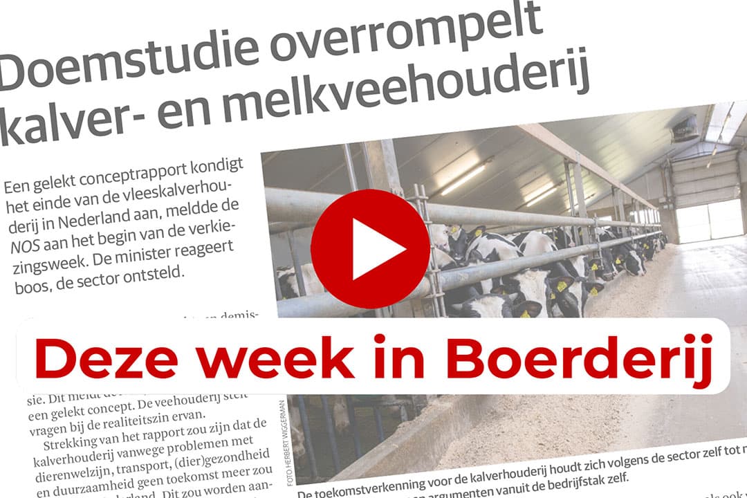 Uitgelicht