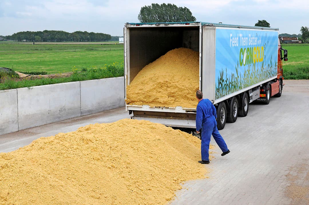 Naast Corngold zijn ook partijen maisglutenvoer, maiskiemen en maisweekwater geblokkeerd. - Foto: Marten Sandburg