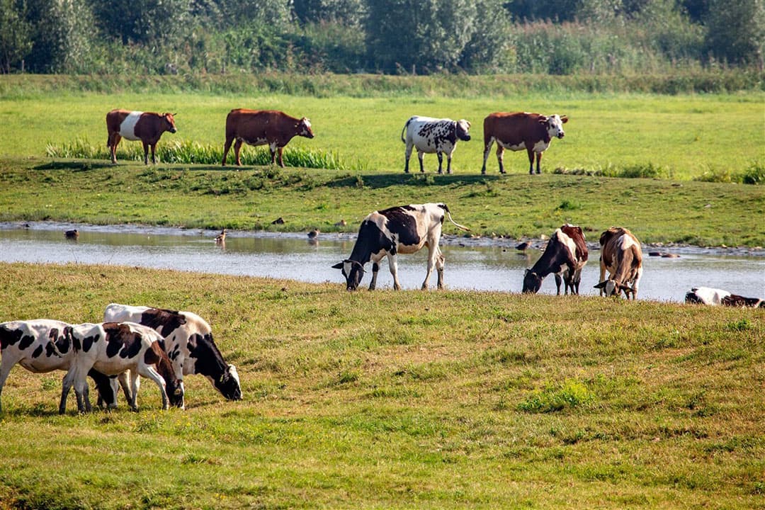 Foto: Novum RegioFoto