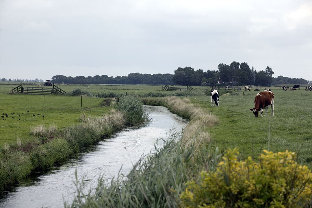 Foto: Hans Prinsen