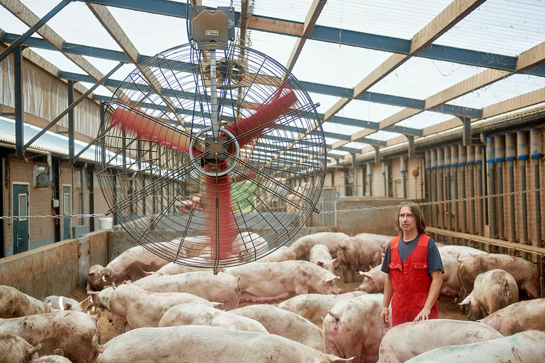 Foto: Van Assendelft