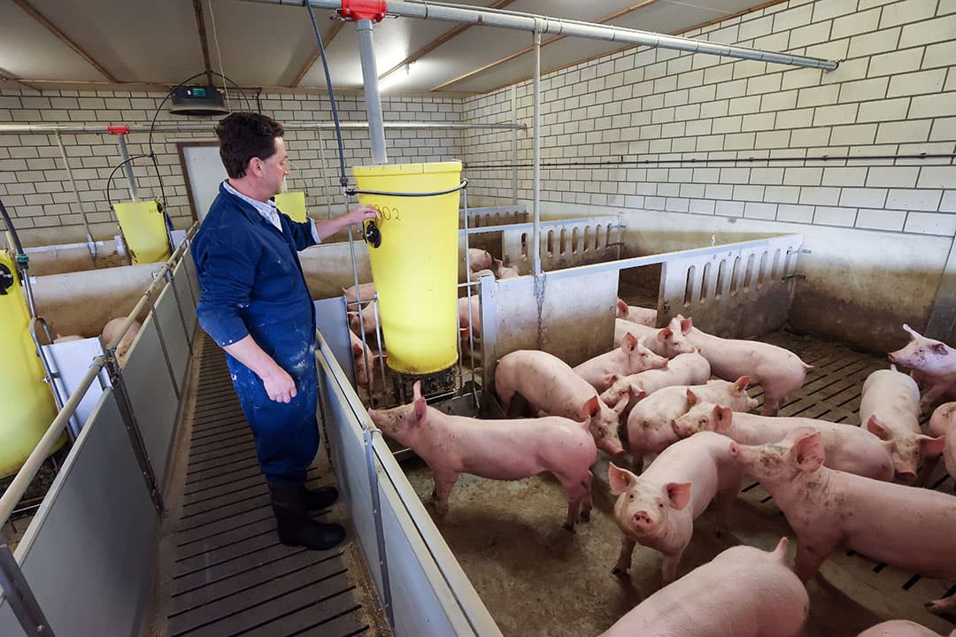 Foto: Bert Jansen