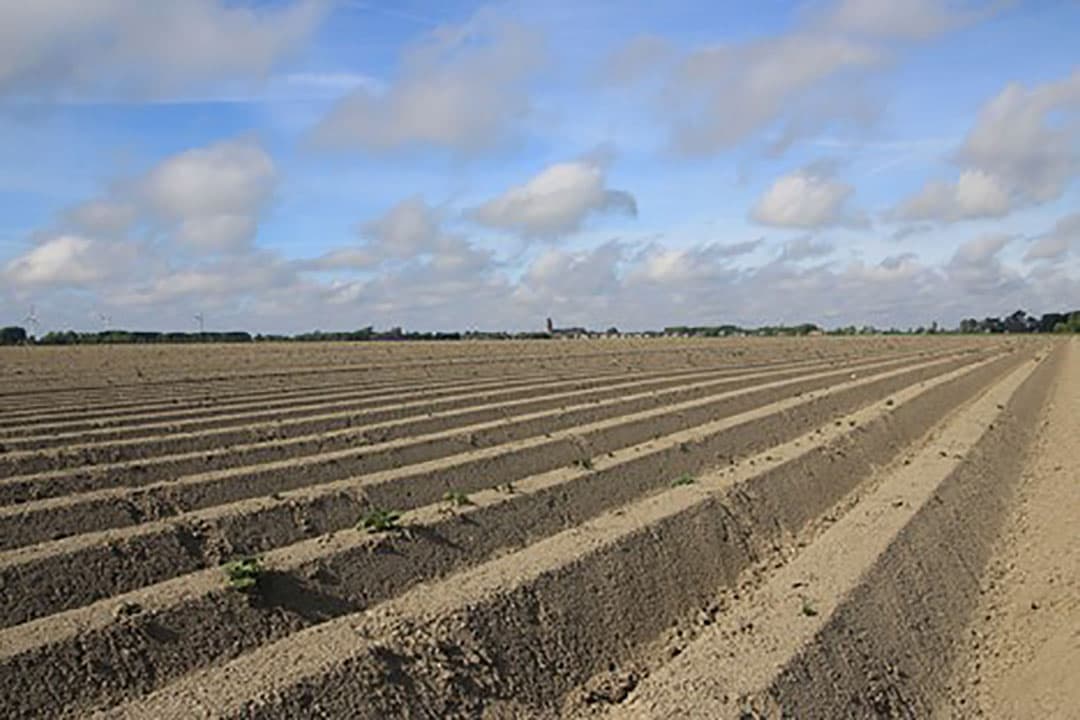Foto: Bayer CropScience