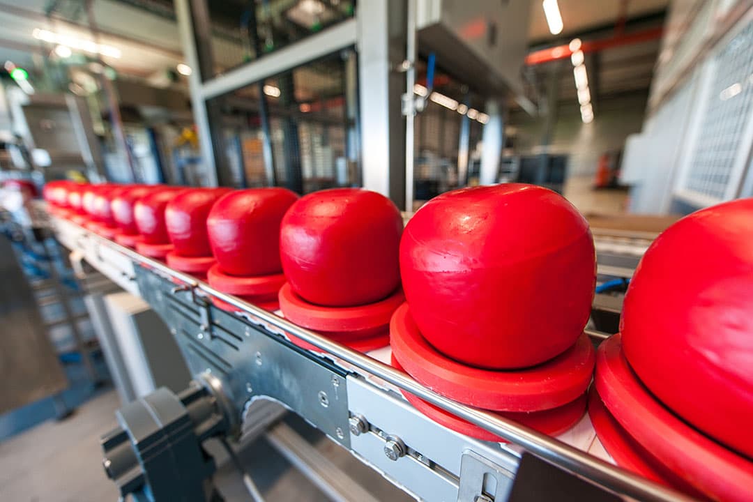 De productielijn van Edammer-kazen (in een rode waslaag) bij A-ware. - Foto: A-ware