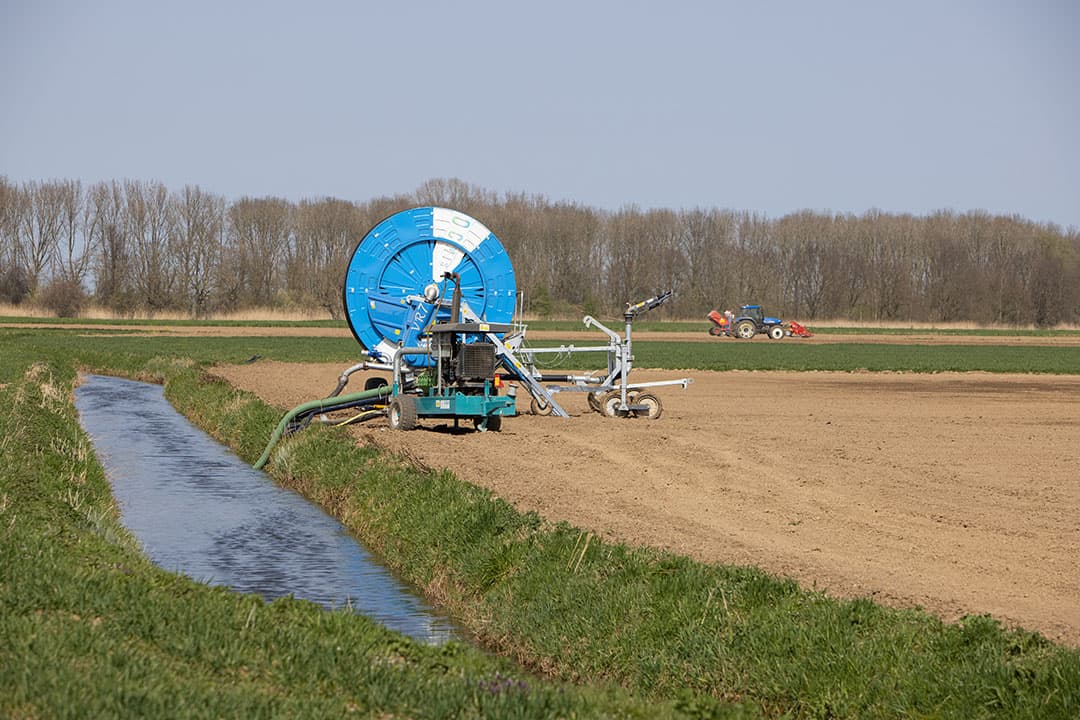 Foto: Peter Roek