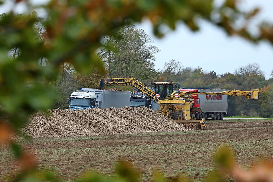 Foto: Henk Riswick