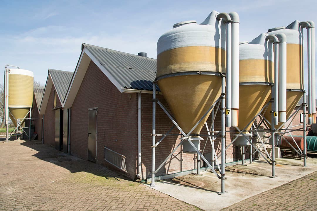 Foto: Koos Groenewold