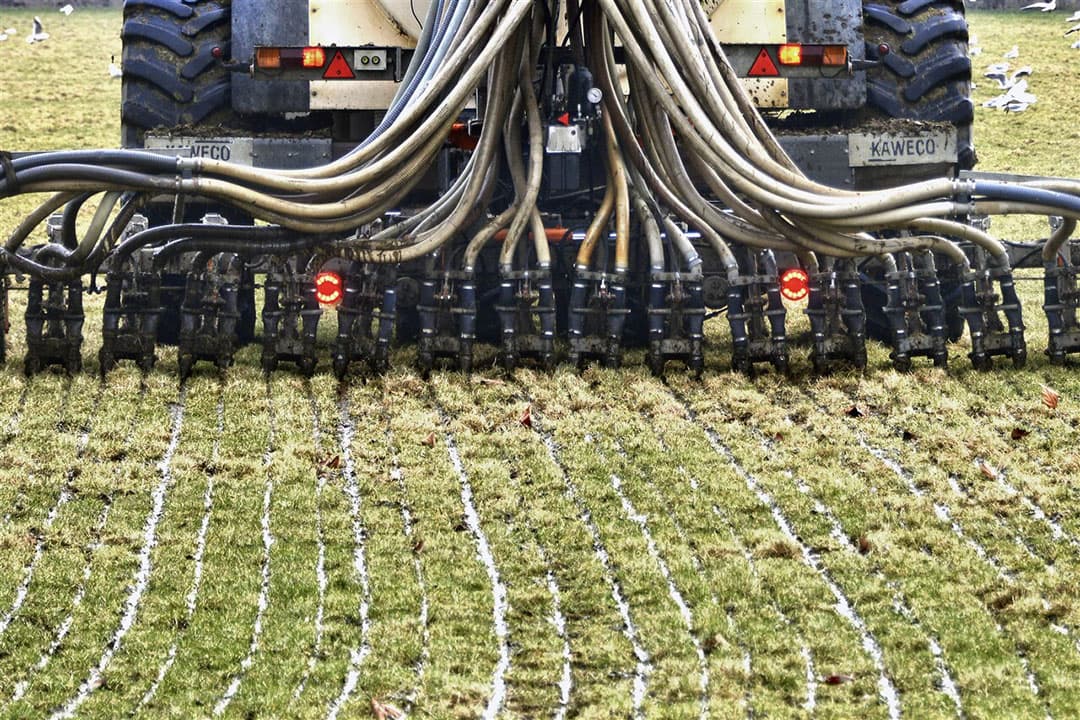 Nederland heeft volgens de Europese Commissie de hoogste emissie van broeikasgassen (CH4 en N2O) per hectare landbouwgrond, meer dan vier keer het gemiddelde van de 27 EU-lidstaten.- Foto: ANP