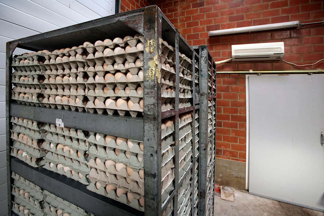 Foto: Koos Groenewold