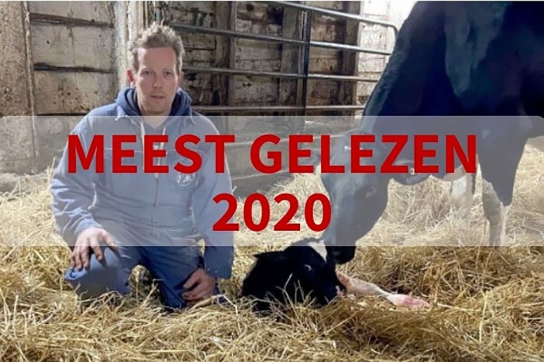 Foto: familie De Haan
