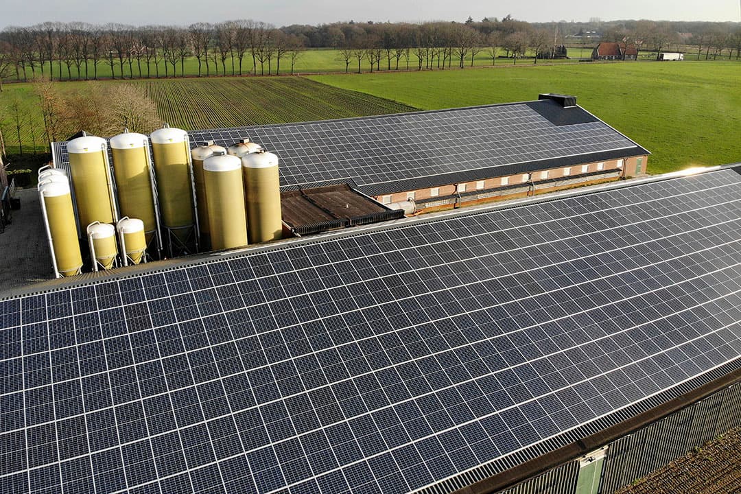 Zonnepanelen op het dak van een varkensstal. - Foto: Hans Prinsen