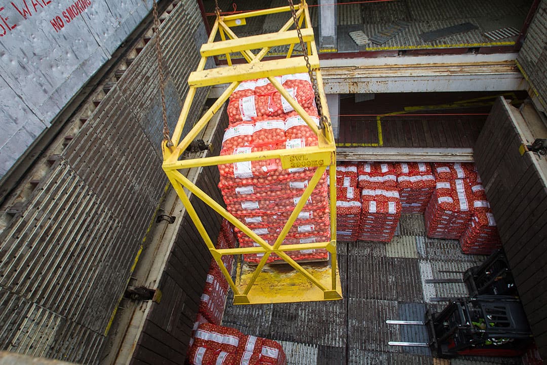 Uien laden voor export naar Senegal. - Foto: Peter Roek