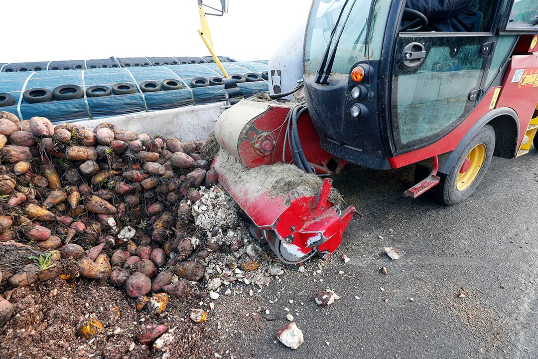 Laden van voederbieten met de mengwagen. - Foto: Bert Jansen