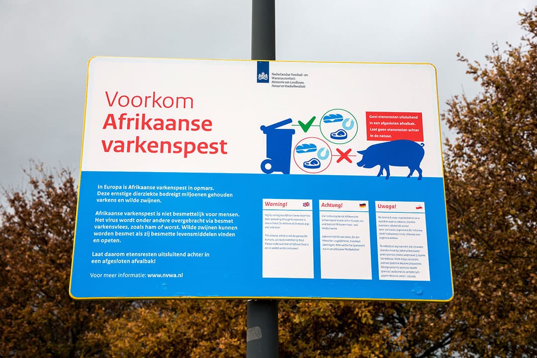 Foto: Herbert Wiggerman