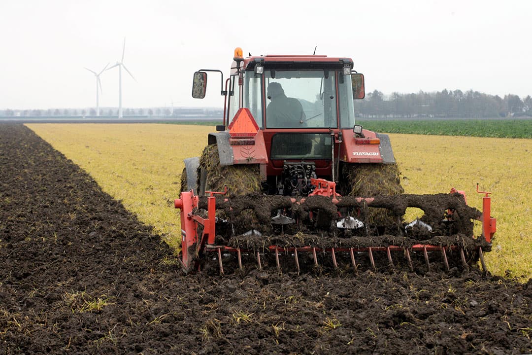 Foto: Koos Groenewold