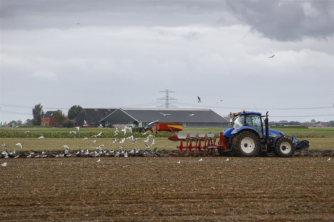 Een akkerbouwer ploegt zijn land nabij het Groningse Spijk. - Foto: ANP