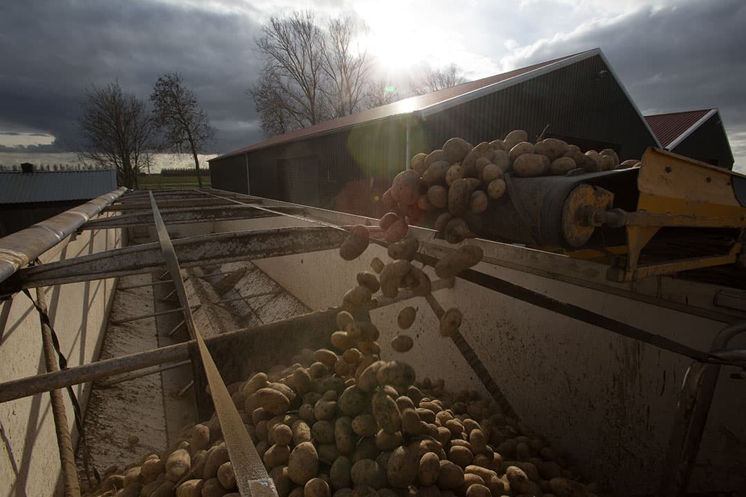 Foto: Peter Roek