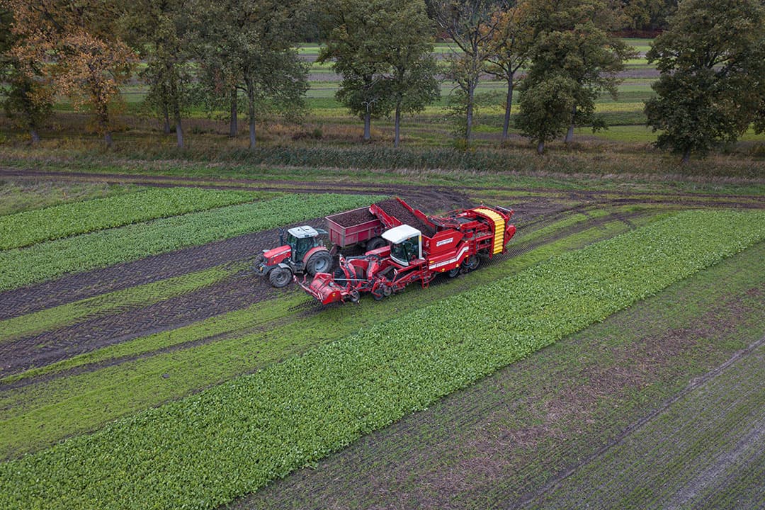 Foto: Peter Roek
