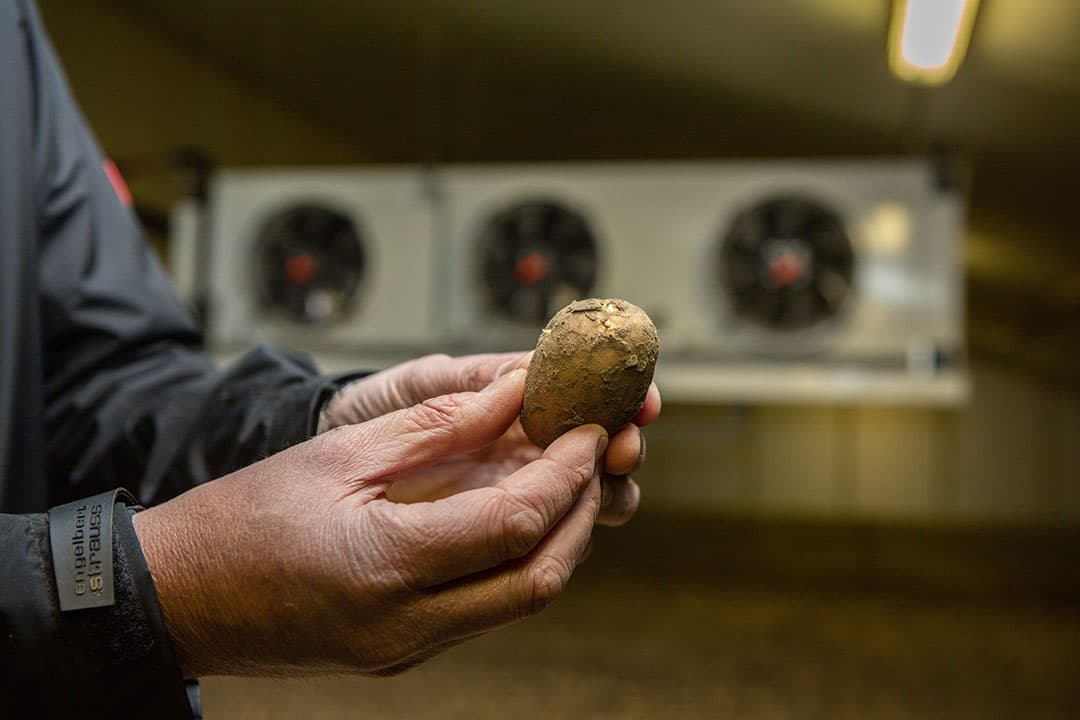 Foto: Peter Roek